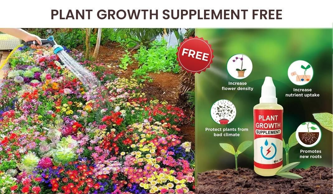 Varieties of Flower Seeds (Pack of 100) + Plant Growth Supplement Free!!
