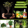 PLANT GROWTH ENHANCER SUPPLEMENT (BUY 1 GET 1 FREE)