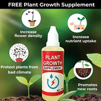 🌹 Elegant Imported Climbing Rose Flower Seeds + Plant Growth Supplement FREE🔥
