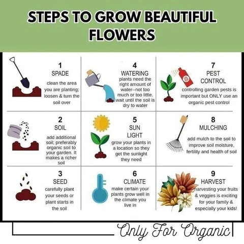 flower seed growing guide Varieties of Flower Seeds (Pack of 100) + Plant Growth Supplement Free – Space Life Store